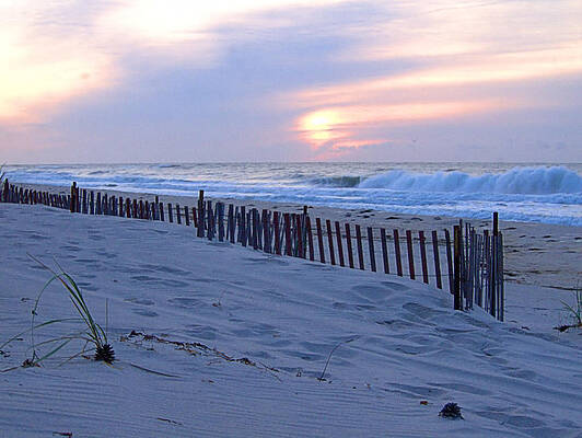 Sky Wall Art featuring the photograph Deserted Beach by Robert Newman