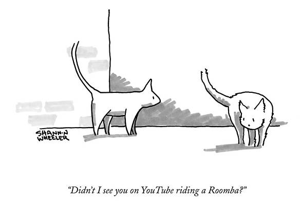 Humorous Cat Encounter Wall Art