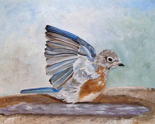 Wildlife Painting - Dip Time - Eastern Bluebird by Angeles M Pomata