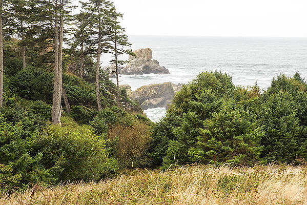 Oregon Wall Art featuring the photograph Disappearing Horizon by Tom Cochran