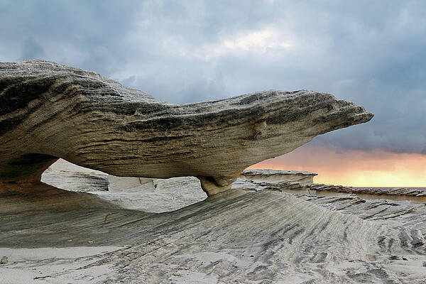 Rocky Photograph - Diving Board by Nicholas Blackwell