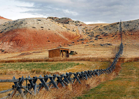 Country Wall Art featuring the photograph Don't Fence Me In by Nicholas Blackwell