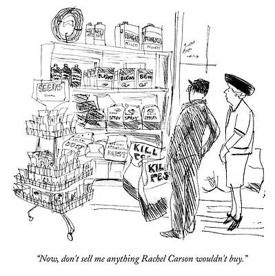 Gardening Drawing - Dont Sell Me Anything Rachel Carson Wouldnt Buy by James Stevenson