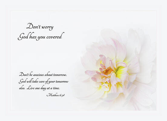Inspirational Quote with Flower Photograph