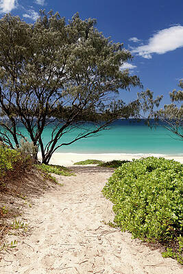 Beach Photograph - Down To The Beach by Nicholas Blackwell