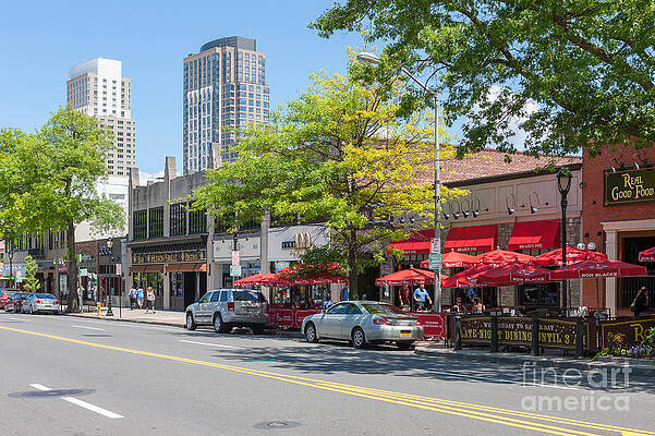 Wall Art featuring the photograph Downtown White Plains New York IX by Clarence Holmes