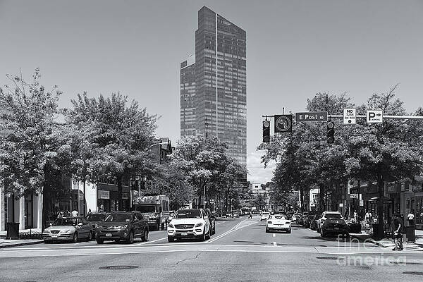 Wall Art featuring the photograph Downtown White Plains New York VI by Clarence Holmes