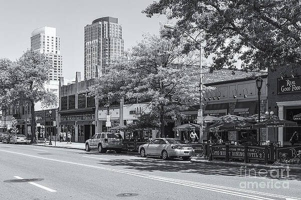 Wall Art featuring the photograph Downtown White Plains New York X by Clarence Holmes