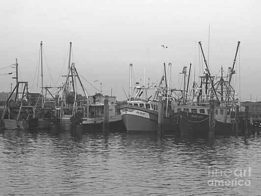 Wall Art featuring the photograph Dragger B W by Robert Newman