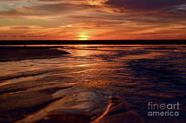 Reflection Photograph - Dramatic Encounters Collection 03 by Debra Banks