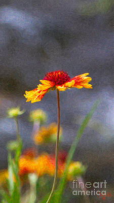 Wall Art featuring the photograph Dreaming In Colors Methow Valley Flowers By Omashte by Omaste Witkowski