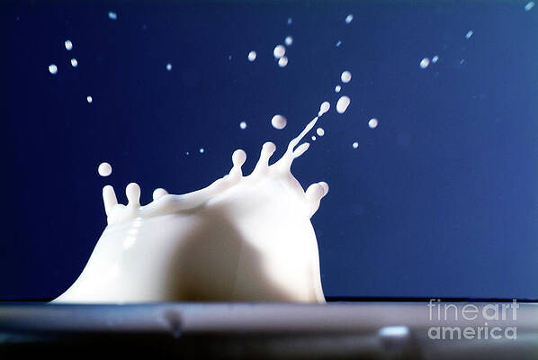 Wall Art featuring the photograph Drop Of Milk Splashing In A Glass by Sami Sarkis Photography
