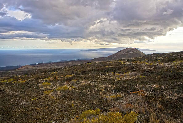 Sea Photograph - Dryside Of Maui by Waterdancer
