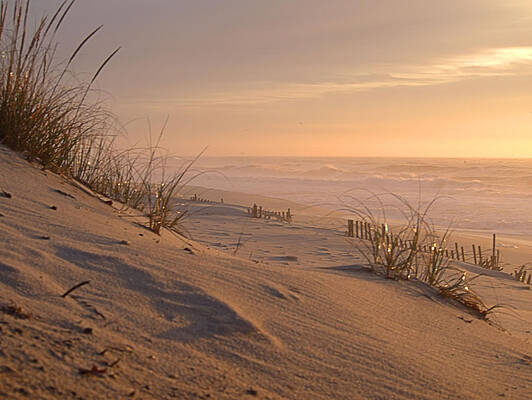 Reflection Photograph - Dune View by Robert Newman