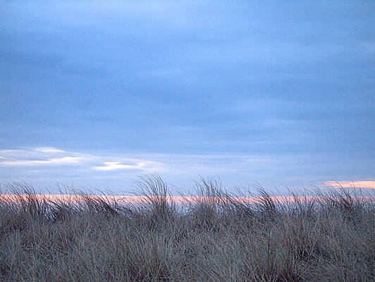 Sky Wall Art featuring the photograph Dunes by Robert Newman