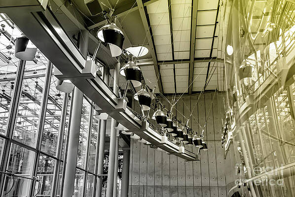 Wall Art featuring the photograph Duo Tones On Black And White - Academy Of Science #2 by Blake Webster