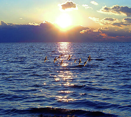 Wall Art featuring the photograph Dusk I I I by Robert Newman