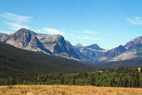 Wildlife Wall Art featuring the photograph East Glacier Park #1 by Waterdancer