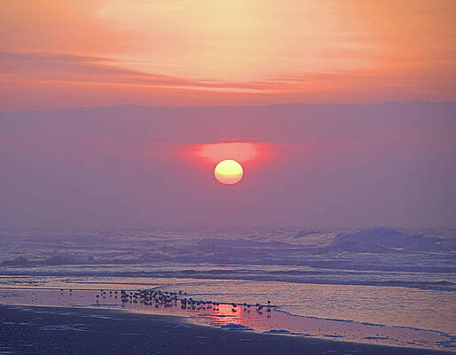 Wall Art featuring the photograph Easter Sunrise by Robert Newman