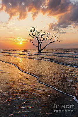 Reflection Wall Art featuring the photograph Edisto Island Sunrise VII by Clarence Holmes