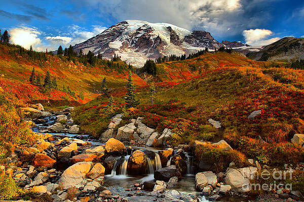 Mount Rainier in Autumn Splendor Wall Art