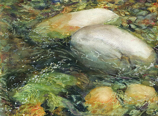 Elbow River Rocks 2 by Madeleine Arnett