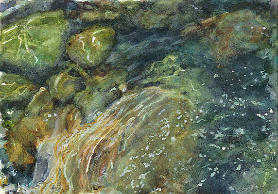 Elbow River Rocks 4 by Madeleine Arnett