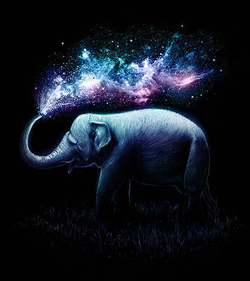 Elephant Splash by Nicebleed  