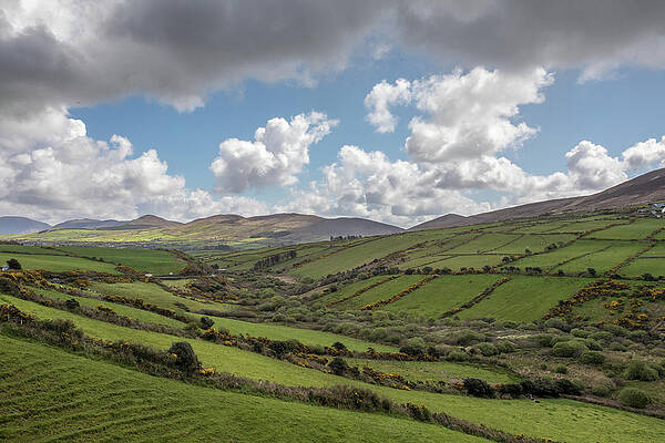 Beautiful Photograph - Emerald Dream by Todd Wilkinson