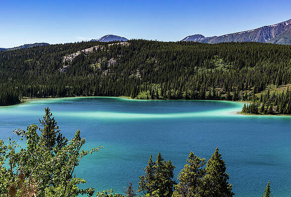 Photograph - Emerald Lake 2 by Ed Clark