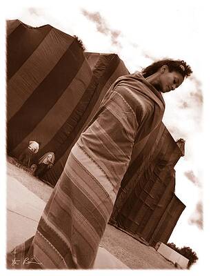 Wall Art featuring the photograph Emergence by Steven Robiner