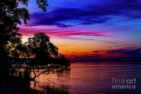 Spring Wall Art featuring the photograph End Of Spring by William Norton