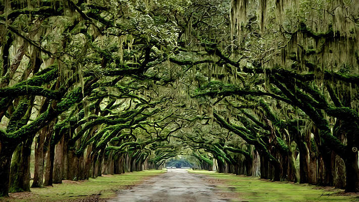 Wall Art featuring the digital art Endlessness by Jacalyn Ackerman