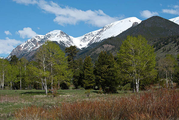 Rocky Mountain National Park Photograph - Endovalley Spring Landscape by Cascade Colors
