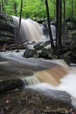 Pennsylvania Wall Art featuring the photograph Engorge by Todd Wilkinson