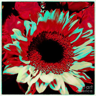 Flower Photograph - Exposed by Onedayoneimage Photography