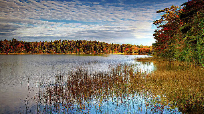 Wall Art featuring the photograph Fall Colors On The Lake by Alberto Audisio