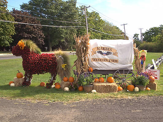 Wall Art featuring the photograph Fall Harvest I by Robert Newman