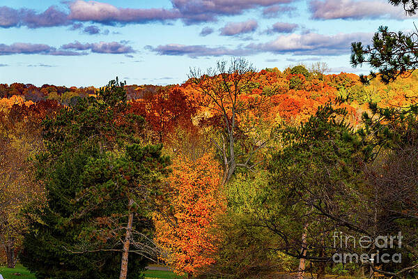 Fall Photograph - Fall Takeover by William Norton