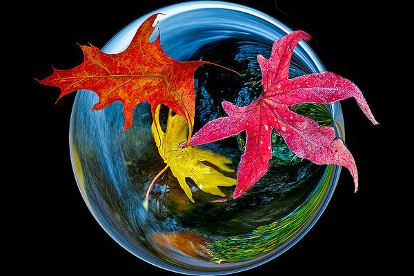 Abstract Photograph - Fall Takes Over by Jean Noren
