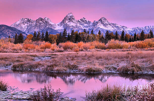 Sunrise Wall Art featuring the photograph Fall Teton Purple Sunrise by Adam Jewell