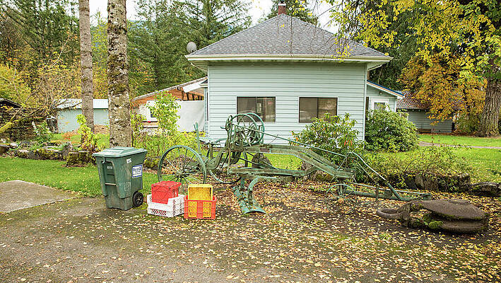 Fall Wall Art featuring the photograph Fallen Leaves In Maple Falls by Tom Cochran