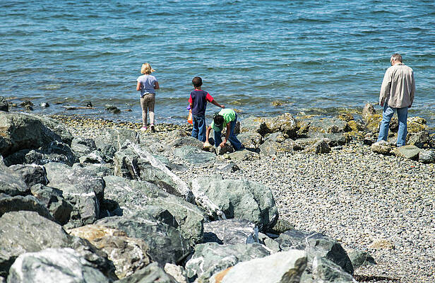 Beach Photograph - Family With Beach Rocks by Tom Cochran