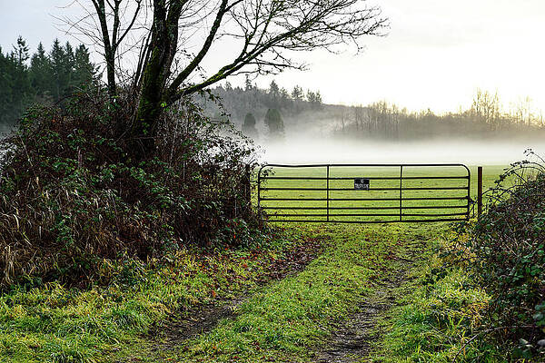 Farm Photograph - Farm Gate And Fog by Tom Cochran