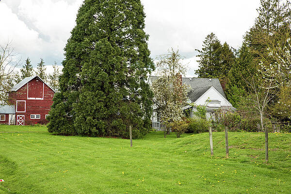 Farm Photograph - Farm On Van Buren Road by Tom Cochran