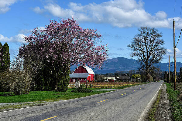 Spring Photograph - Farm Road In Spring by Tom Cochran