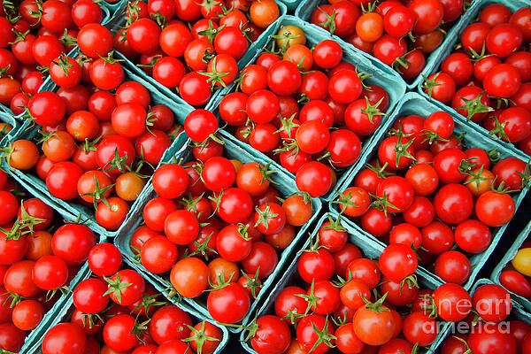 Oregon Photograph - Farmer's Market Cherry Tomatoes by Bruce Block