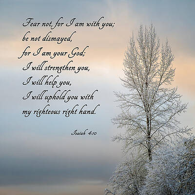 Wall Art featuring the photograph Fear Not by Mary Jo Allen