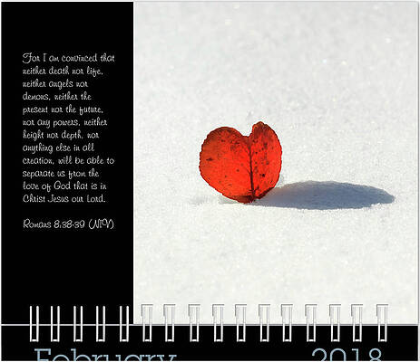 Inspirational Photograph - February Inspirational Preview by Joni Eskridge