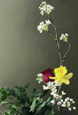 Still Life Wall Art featuring the digital art February Still Life by Gina Harrison